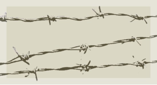 Barbed wire-long