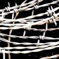 barbed_wire_roll-2